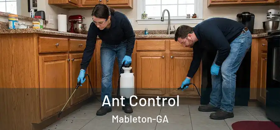  Ant Control Mableton-GA