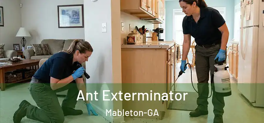 Ant Exterminator Mableton-GA