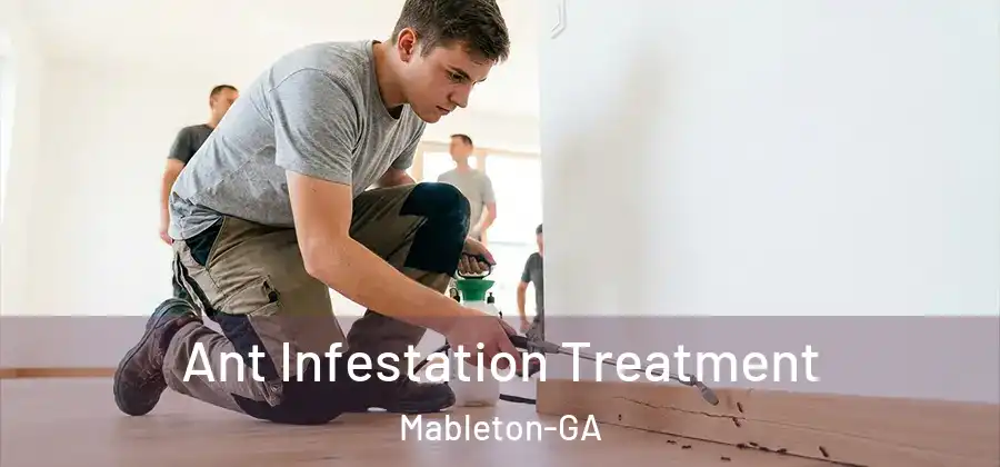  Ant Infestation Treatment Mableton-GA