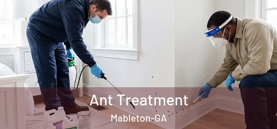 Ant Treatment Mableton-GA