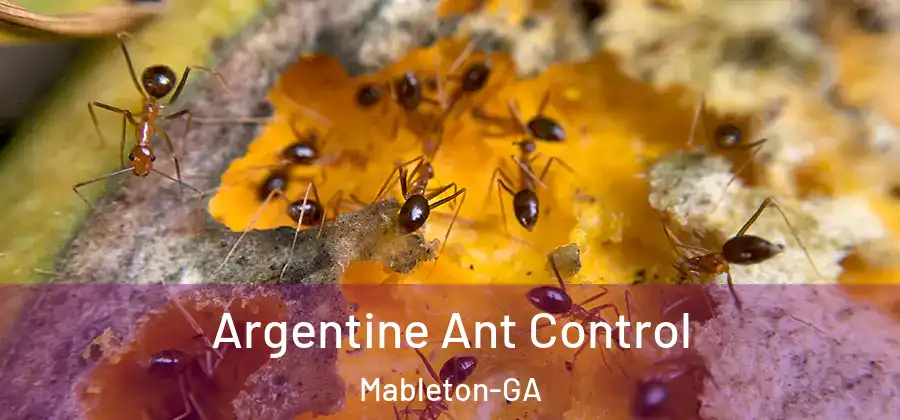 Argentine Ant Control Mableton-GA