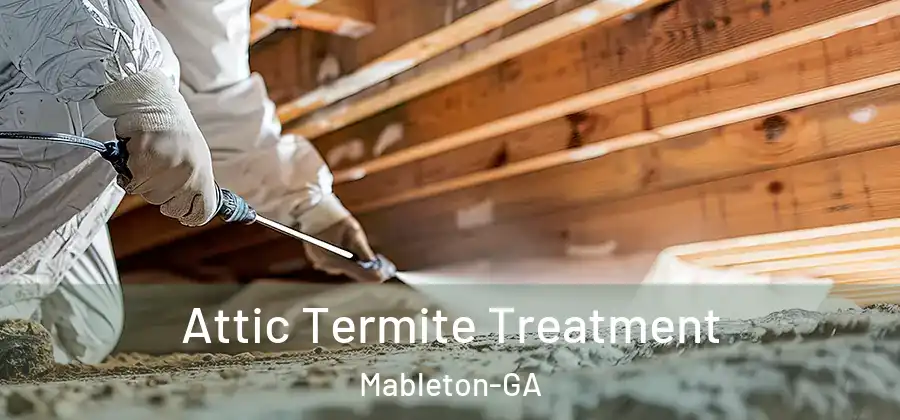 Attic Termite Treatment Mableton-GA