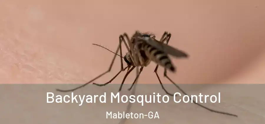 Backyard Mosquito Control Mableton-GA