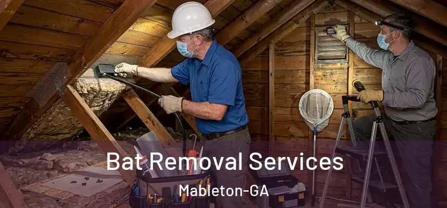 Bat Removal Services Mableton-GA