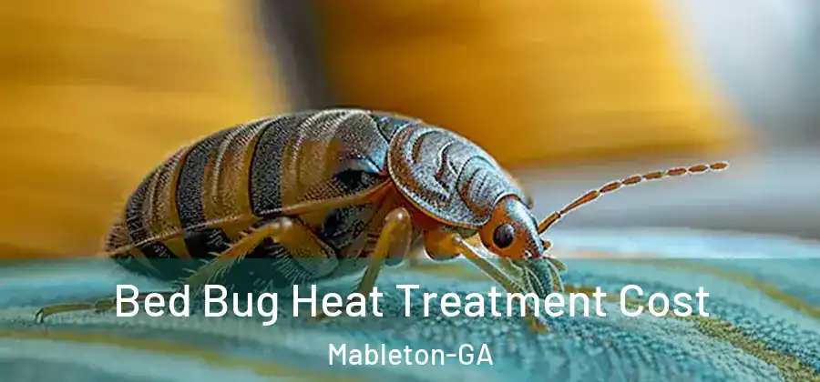  Bed Bug Heat Treatment Cost Mableton-GA