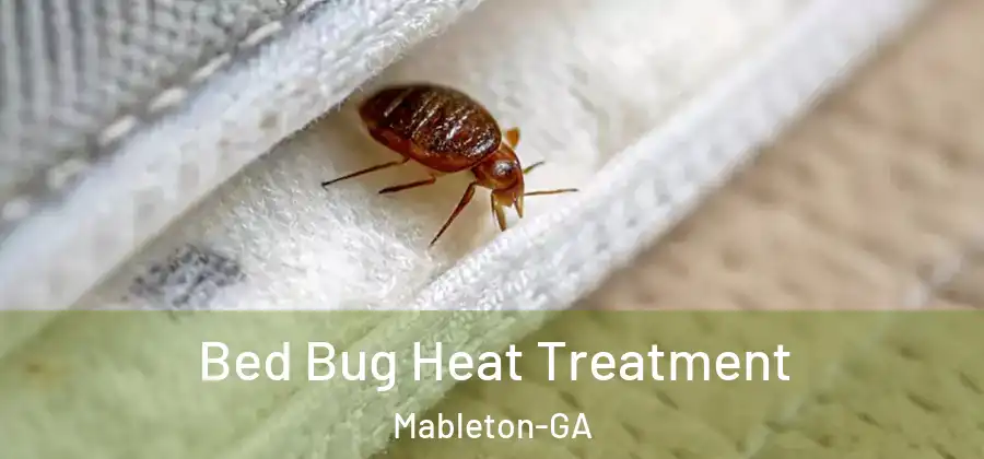 Bed Bug Heat Treatment Mableton-GA