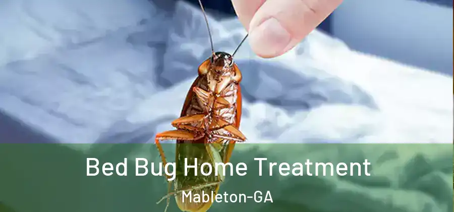 Bed Bug Home Treatment Mableton-GA