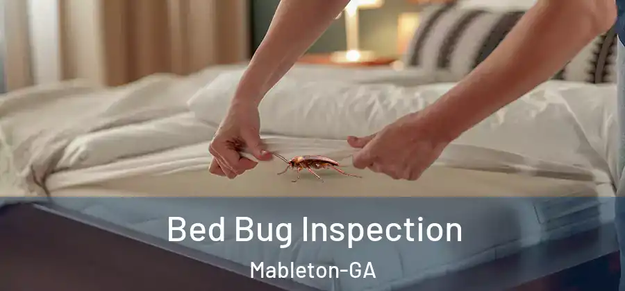 Bed Bug Inspection Mableton-GA