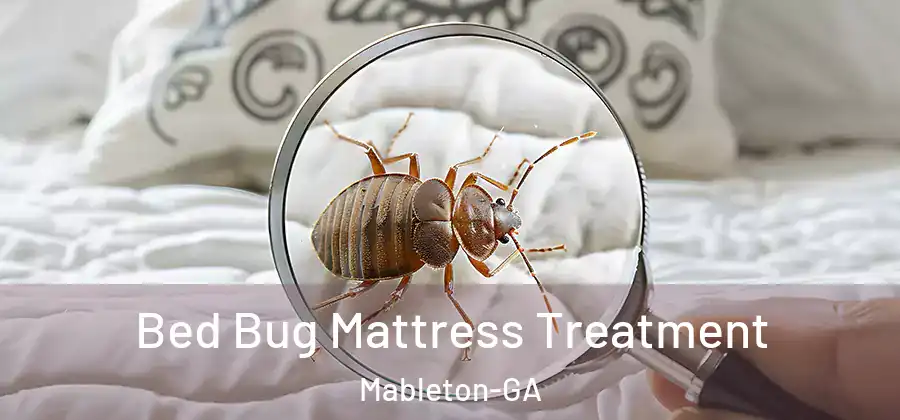 Bed Bug Mattress Treatment Mableton-GA