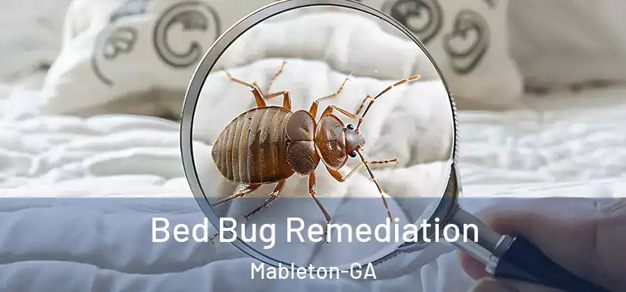 Bed Bug Remediation Mableton-GA