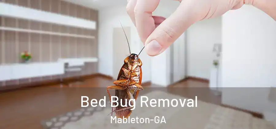 Bed Bug Removal Mableton-GA