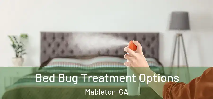 Bed Bug Treatment Options Mableton-GA