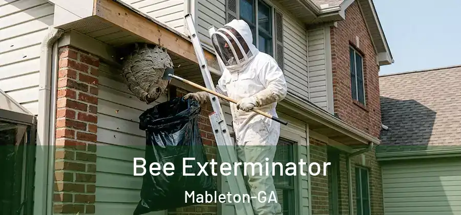 Bee Exterminator Mableton-GA