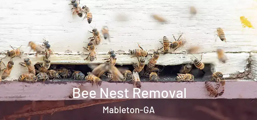 Bee Nest Removal Mableton-GA
