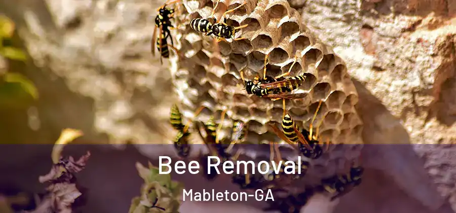 Bee Removal Mableton-GA