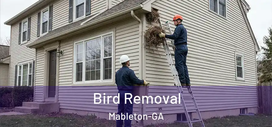 Bird Removal Mableton-GA