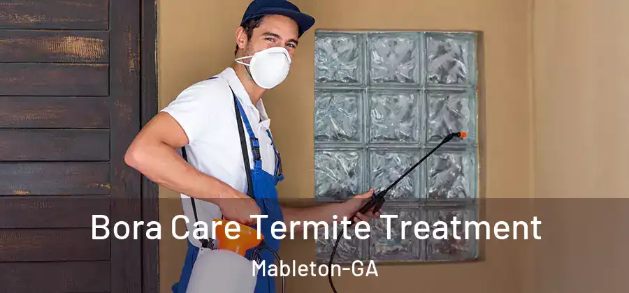 Bora Care Termite Treatment Mableton-GA