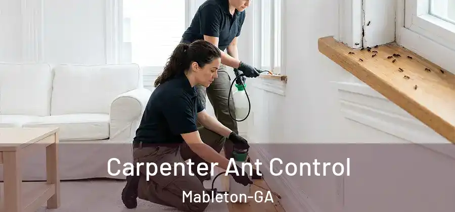 Carpenter Ant Control Mableton-GA