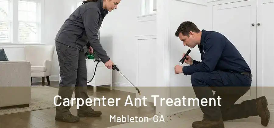 Carpenter Ant Treatment Mableton-GA