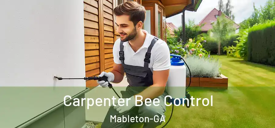 Carpenter Bee Control Mableton-GA