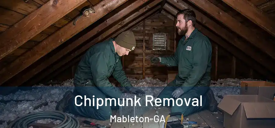 Chipmunk Removal Mableton-GA