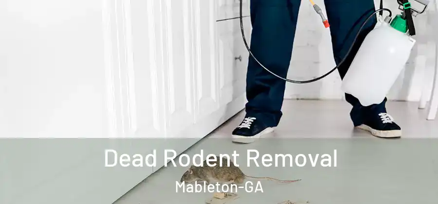 Dead Rodent Removal Mableton-GA