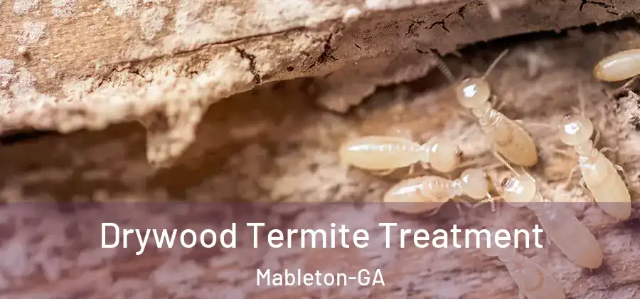  Drywood Termite Treatment Mableton-GA