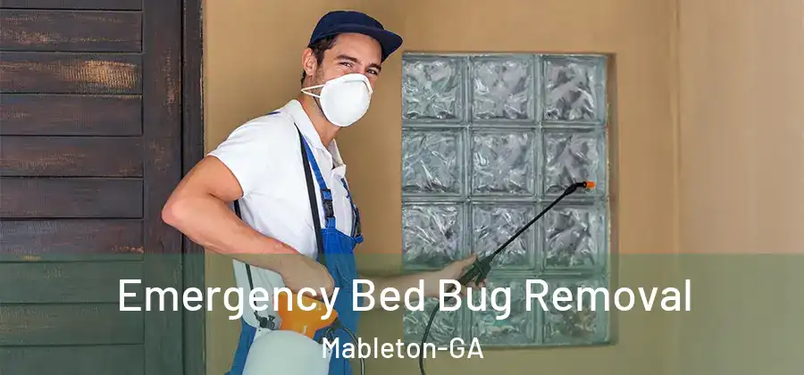 Emergency Bed Bug Removal Mableton-GA