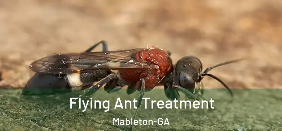 Flying Ant Treatment Mableton-GA