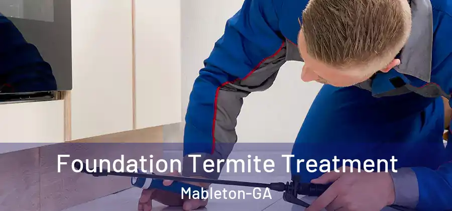 Foundation Termite Treatment Mableton-GA