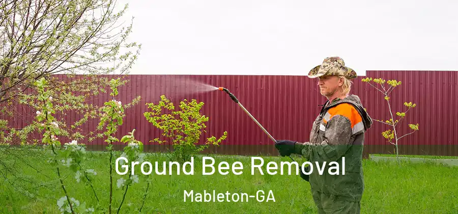 Ground Bee Removal Mableton-GA