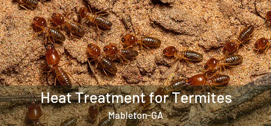  Heat Treatment for Termites Mableton-GA