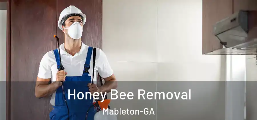  Honey Bee Removal Mableton-GA