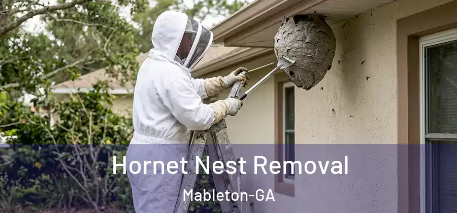  Hornet Nest Removal Mableton-GA