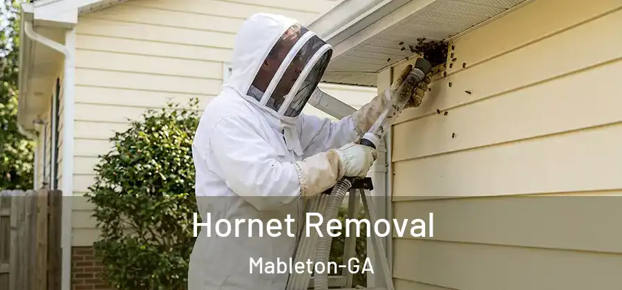Hornet Removal Mableton-GA