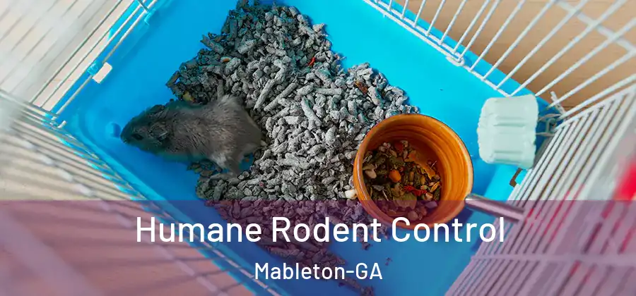 Humane Rodent Control Mableton-GA