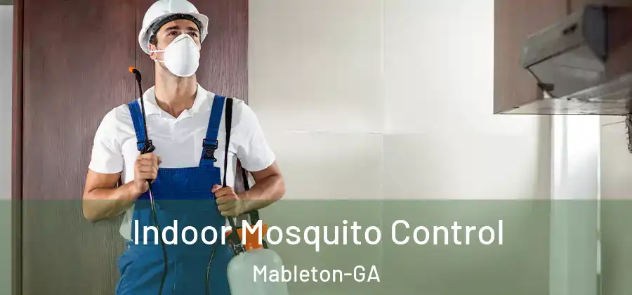  Indoor Mosquito Control Mableton-GA