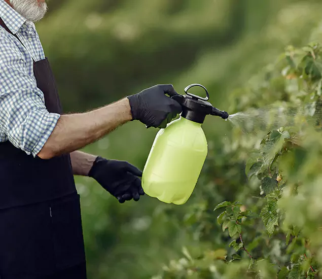 Your Proven Mosquito Treatment Company in Mableton, GA