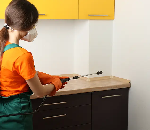 Trusted Bed Bug Pest Control Specialist in Mableton, GA