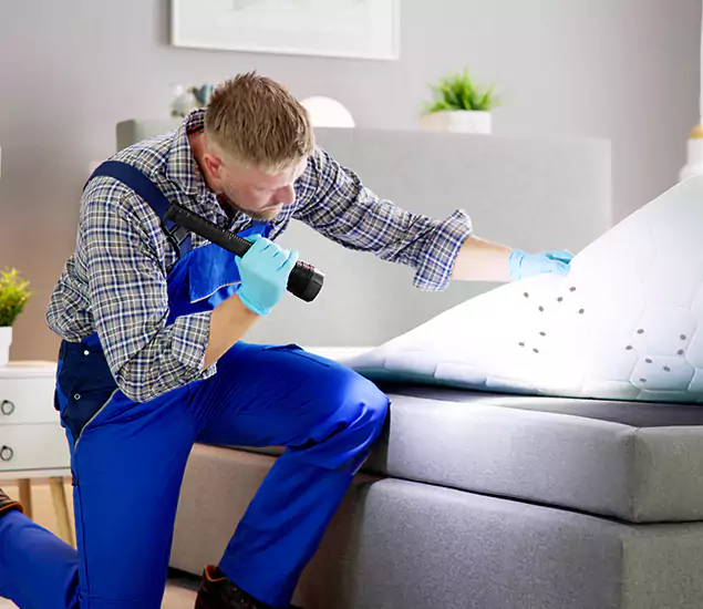 Trusted Bed Bug Remediation Experts in Mableton, GA