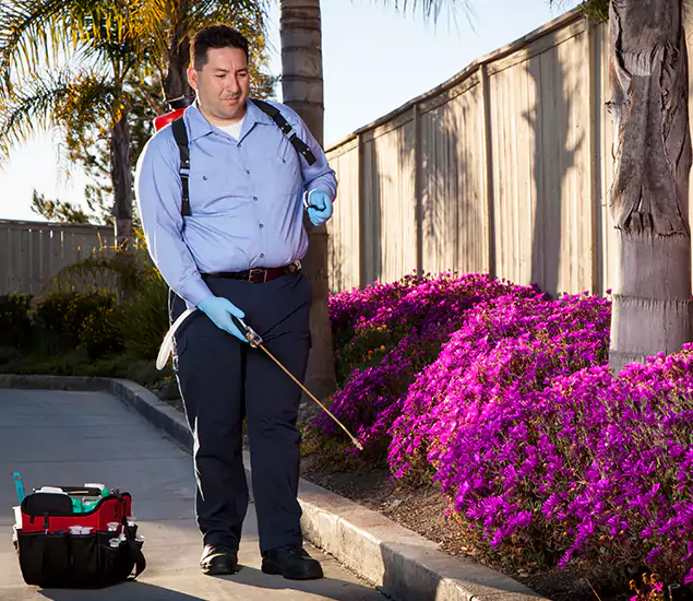 About Our Eco Safe Pest Control Experts in Mableton, GA