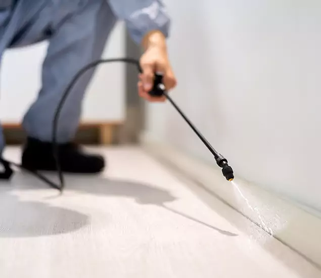 About Our Liquid Termite Treatment Experts in Mableton, GA