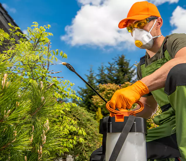 Your Mosquito Repellent Barrier Service in Mableton, GA