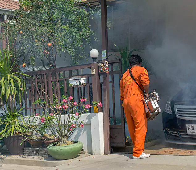 Your Proven Mosquito Fogging Company in Mableton, GA