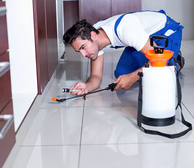 Reliable Professional Mouse Removal: Your Best Mouse Control Company in Mableton, GA