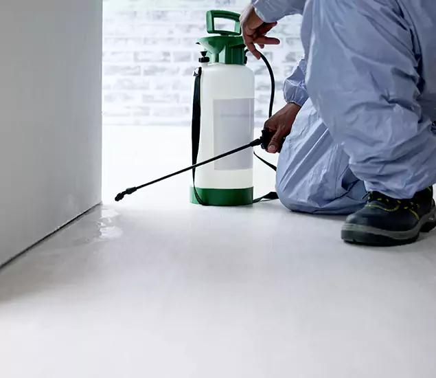 Affordable Pest Control Experts in Mableton, GA