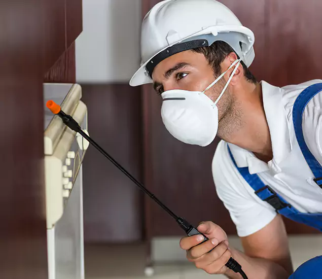 Expert Cockroach Exterminator: Your Roach Control Services in Mableton, GA