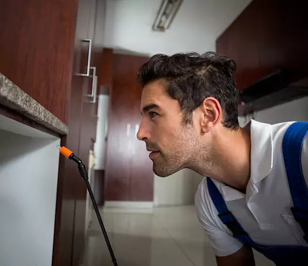 Expert Rodent in Attic Removal: Your Proven Pest Specialists in Mableton, GA
