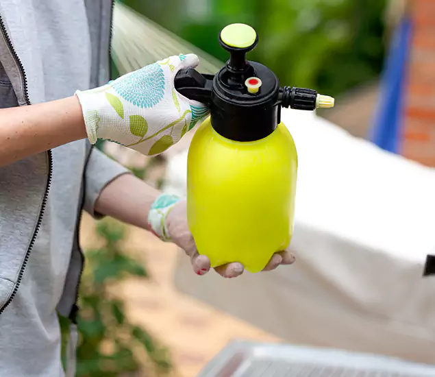 Skilled Residential Small Black Ant Service in Mableton, GA