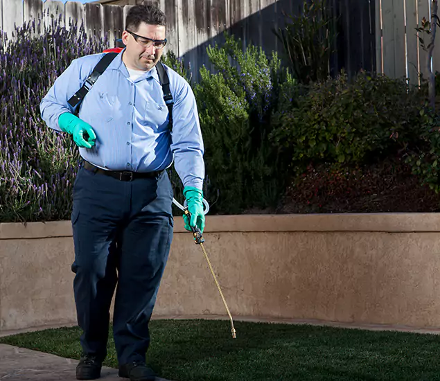 Reliable Termite Barrier Treatment Experts in Mableton, GA